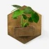 Larayne Hexagon Wall Planter -Default Template 5 108420 001 grp 1