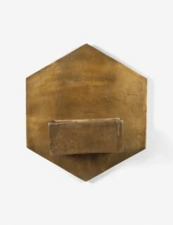 Larayne Hexagon Wall Planter -Default Template 5 108420 001 prm 1