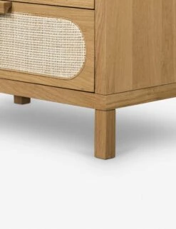 Verna Dresser -Default Template 5 109721 001 det 3