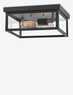 Fraser Flush Mount Light -Default Template 5 12193bk