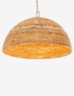 Chana Pendant Light -Default Template 5 223650 001 DET 3