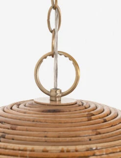 Chana Pendant Light -Default Template 5 223650 001 DET 6