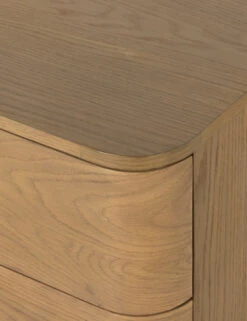 Cyrus Dresser -Default Template 5 226604 002 DET 3