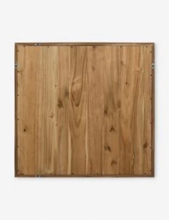 Nielsen Mirror -Default Template 5 228570 001 BCK 1