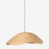 Anela Pendant Light -Default Template 5 230938 001 FRT 1