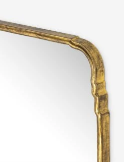 Teresa Full Length Mirror -Default Template 5 234804 001 DET 1