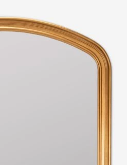 Oralie Full Length Mirror -Default Template 5 42200 5