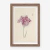 Vintage Japanese Iris No. 24 Wall Art By Miyoshi Manabu 1 Vintage Japanese Iris No. 24 Wall Art By Miyoshi Manabu -Default Template 5 AFLWR 24 7.5X12.25