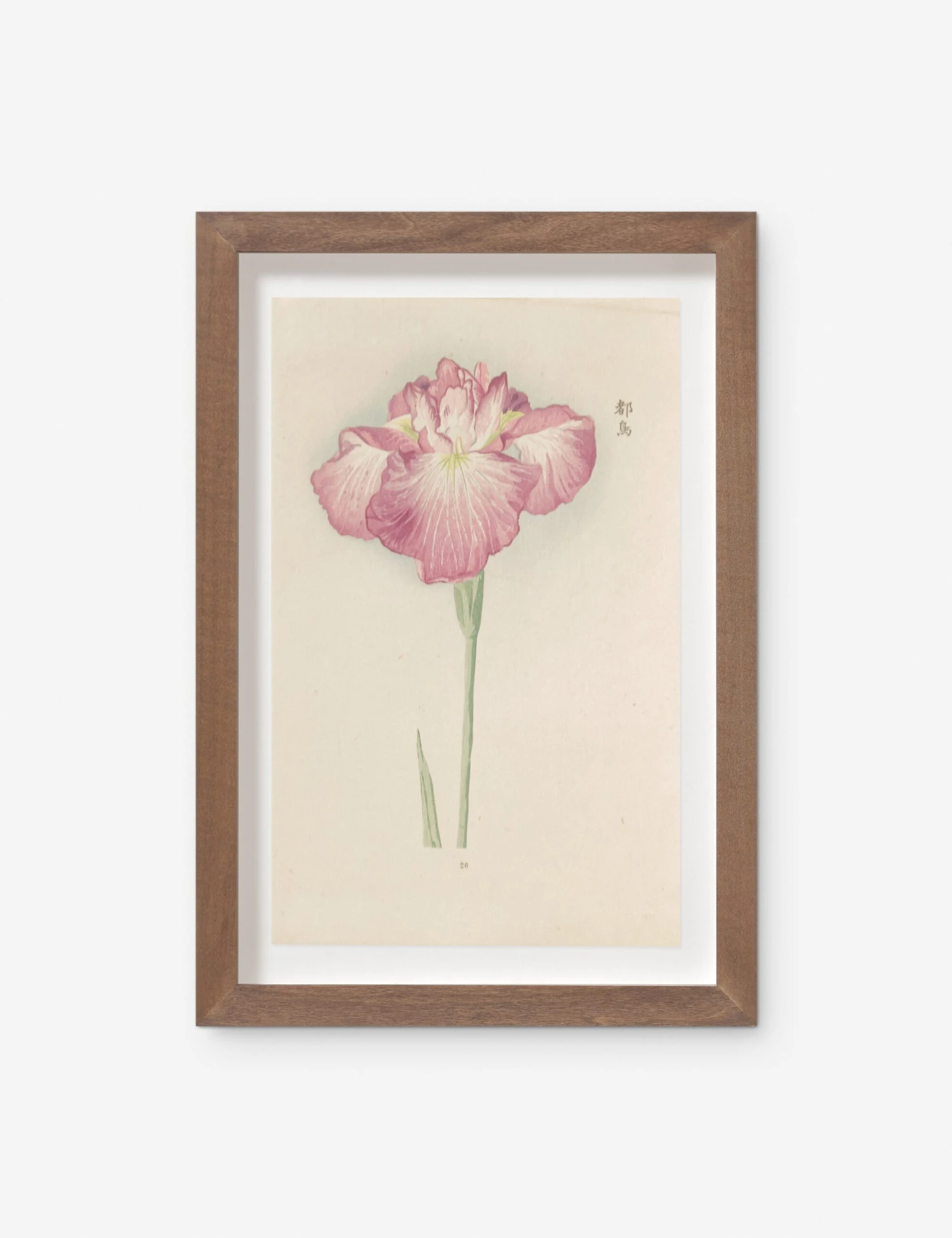 Vintage Japanese Iris No. 26 Wall Art By Miyoshi Manabu 3 Vintage Japanese Iris No. 26 Wall Art By Miyoshi Manabu