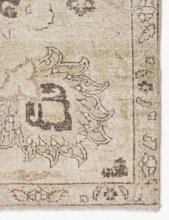 Cadencia Rug -Default Template 5 BOH12 3