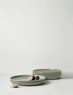 Pacifica Dinner Plates (Set Of 6) By Casafina 27 Pacifica Dinner Plates (Set Of 6) By Casafina -Default Template 5 CasafinaPacificaDinnerPlate Arti