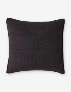 Clemence Sham -Lumo Living Store ClemenceSham Charcoal Euro L0466349 105