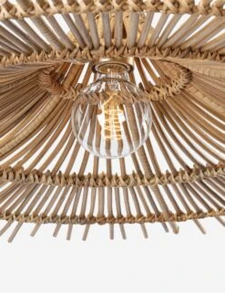 Mareta Pendant 13 Mareta Pendant -Default Template 5 CostaMesa F8850 VGL 003