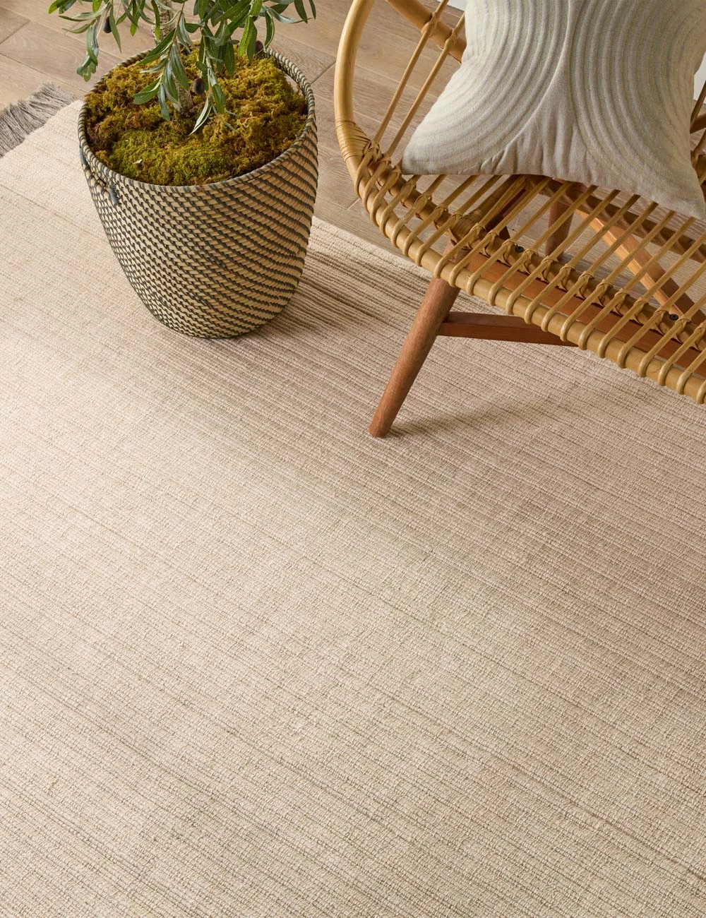 Drew Indoor / Outdoor Rug 4 Drew Indoor / Outdoor Rug - Image 2