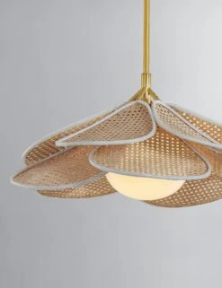 Odilia Pendant Light -Default Template 5 FLORINA 3128 AGB 001