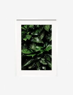 Still Life 7 Photography Print By Ashley Johnson -Default Template 5 JohnsonStillLifePack7 7whiteframe