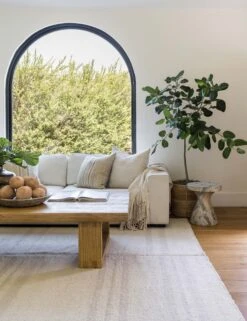 Koukila Rug By Pure Salt X Momeni 24 Koukila Rug By Pure Salt X Momeni -Default Template 5 KOUKIKOK 2IVY 16