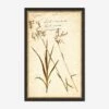 Herbarium E Wall Art -Default Template 5 LULU 23 0066E