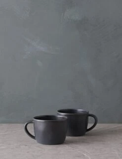 Livia Mug (Set Of 2) By Costa Nova 17 Livia Mug (Set Of 2) By Costa Nova -Default Template 5 LiviaMug Setof2 byCasafina Black L0467327 2026