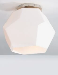 Eden Flush Mount Light 9 Eden Flush Mount Light -Default Template 5 PI1894501 PN 003