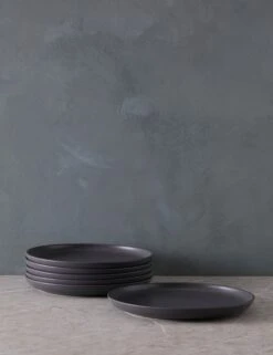 Pacifica Dinner Plates (Set Of 6) By Casafina 39 Pacifica Dinner Plates (Set Of 6) By Casafina -Default Template 5 PacificaDinnerPlates Setof6 byCasafina SeedGray A06558281582