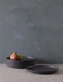 Pacifica Dinner Plates (Set Of 6) By Casafina 38 Pacifica Dinner Plates (Set Of 6) By Casafina -Default Template 5 PacificaDinnerPlates Setof6 byCasafina SeedGray A06558281584