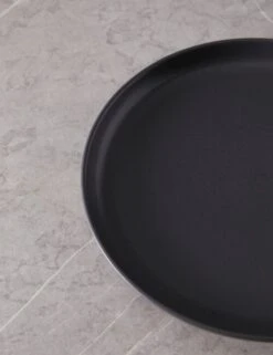 Pacifica Dinner Plates (Set Of 6) By Casafina 40 Pacifica Dinner Plates (Set Of 6) By Casafina -Default Template 5 PacificaDinnerPlates Setof6 byCasafina SeedGray A06558281585