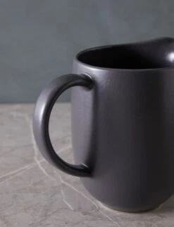 Pacifica Pitcher By Casafina -Default Template 5 PacificaPitcherbyCasafina SeedGray L04672641637