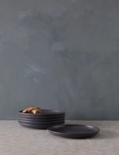 Pacifica Salad Plates (Set Of 6) By Casafina -Default Template 5 PacificaSaladPlates Setof6 byCasafina SeedGray A06558291591