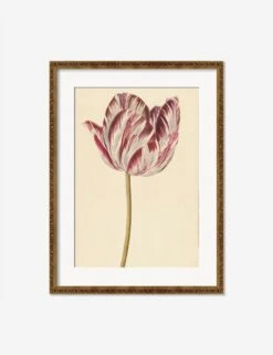 Red And White Tulip Print -Default Template 5 RedandWhiteTulipBronzeGoldOrnateMatted