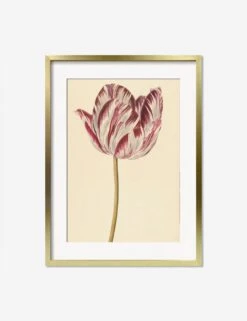 Red And White Tulip Print -Default Template 5 RedandWhiteTulipGoldMatted