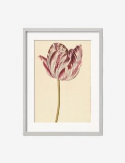 Red And White Tulip Print -Default Template 5 RedandWhiteTulipSilverMatted