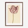 Red And White Tulip Print 1 Red And White Tulip Print -Lumo Living Store RedandWhiteTulipwalnutMatted