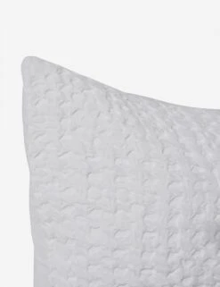 Signy Sham -Default Template 5 SignySham White Euro L0466343 95