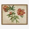 Studies Of Peonies Wall Art By Martin Schongauer -Default Template 5 StudiesofPeoniesBronzeGoldFrame