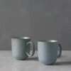 Nature Mugs (Set Of 2) By Thomas For Rosenthal -Default Template 5 ThomasNatureS 6Mugs Water 4639 1