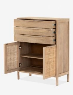 Hannah Dresser -Default Template 5 iprs 032 opn 1