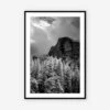 Yosemite National Park Views Photography Print -Default Template 5 lulu 20 0027