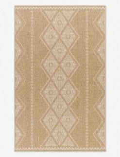 Mesny Indoor / Outdoor Rug