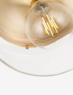 Raya Flush Mount Light -Default Template 5 raya flush mount light 1