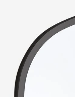 Regina Andrew Cloak Mirror -Default Template 5 steel