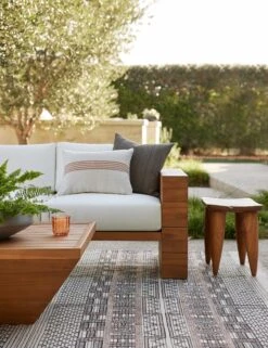 Tami Indoor / Outdoor Rug -Default Template 5 tami rug living room 2442 site crop